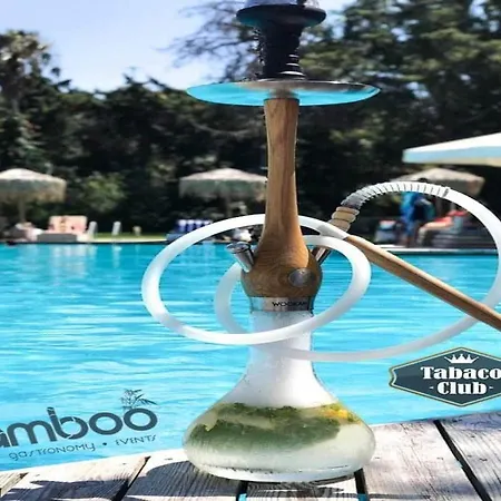 Bamboo Suites